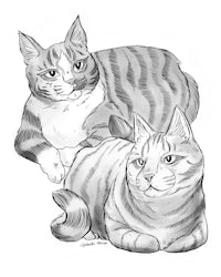 two cats laying down in a black and white drawing